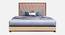 Vincent Queen Size Upholstered Non Storage Bed (Queen Bed Size, Beige, Honey Oak Finish) by Urban Ladder - - 