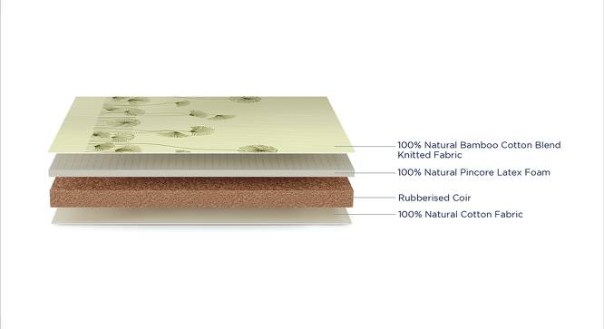 Avaasa 100% Natural Latex and Coir Mattress -  King Size (King Mattress Type, 6 in Mattress Thickness (in Inches), 75 x 72 in Mattress Size) by Urban Ladder - - 