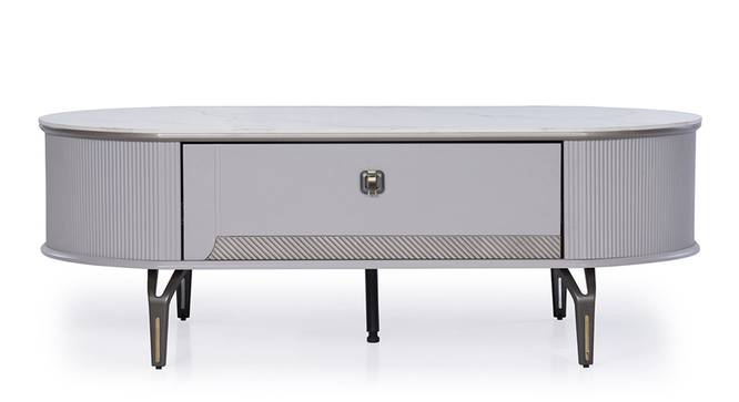 Venessa Coffee Table (Ash Grey Finish) by Urban Ladder - Front View Design 1 - 843599