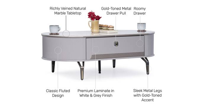 Venessa Coffee Table (Ash Grey Finish) by Urban Ladder - Design 1 Side View - 843603