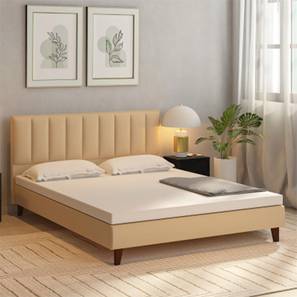 Dallas Engineered Wood Queen Size Bed without Storage in Honey Oak Beige...-image-44