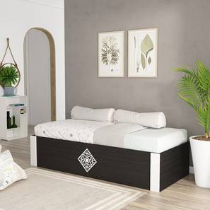 Single Beds With Storage Design Otis Engineered Wood Single Size Box Storage Bed in Wenge & Frosty White Finish