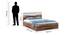 Stella King Bed With Box Storage (King Bed Size, Box Storage Type, Asian Walnut Finish) by Urban Ladder - Design 1 Dimension - 844146