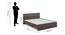 Kane King Bed In Choco walnut (King Bed Size, Choco Walnut Finish) by Urban Ladder - Design 1 Dimension - 844148