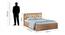Orion Queen Bed With Box Storage (Queen Bed Size, Box Storage Type, Mexican Walnut Finish) by Urban Ladder - Design 1 Dimension - 844149