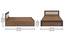Eco Queen Bed With Box Storage (Queen Bed Size, Box Storage Type, Exotic Teak Finish) by Urban Ladder - Design 1 Dimension - 844150