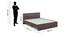 Kane King Bed In Choco walnut (King Bed Size, Choco Walnut Finish) by Urban Ladder - Image 2 Design 1 - 844158