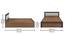 Eco Queen Bed With Box Storage (Queen Bed Size, Box Storage Type, Exotic Teak Finish) by Urban Ladder - Image 2 Design 1 - 844160