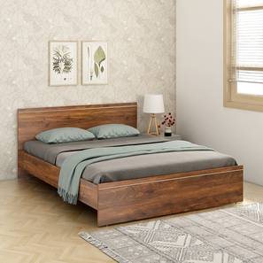 A Globia Creations Design Amber Engineered Wood Queen Size Non Storage Bed in Natural Teak Finish