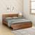 Fvbdns33br70892 lp