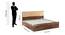 Alvin Queen Bed With Box Storage In Asian Walnut Color (Queen Bed Size, Box Storage Type, Asian Walnut Finish) by Urban Ladder - Image 2 Design 1 - 844204
