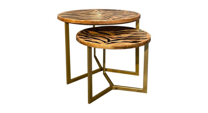 Tiger Side Table - Set of 2 (Natural Wood Finish) by Urban Ladder - Side View Design 1 - 844253