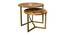 Tiger Side Table - Set of 2 (Natural Wood Finish) by Urban Ladder - Side View Design 1 - 844253