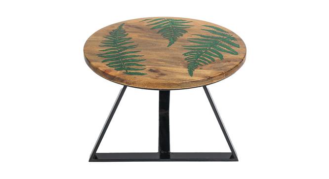 Fern Side Table (Natural Wood Finish) by Urban Ladder - Front View Design 1 - 844273