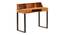 Amazon Solid Wood Study Table (Honey Oak Finish) by Urban Ladder - Front View Design 1 - 844428