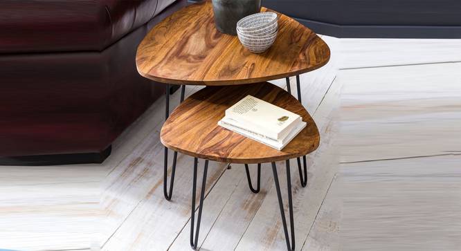 Minto Solid Wood Nested Tables - Set of 2 (Honey Oak And Black Finish) by Urban Ladder - Design 1 Side View - 844544