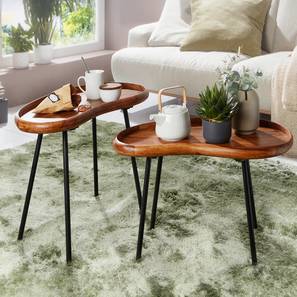 woodenmood Prince Solid Wood Side Table in Honey Oak And Black Finish-picture-19