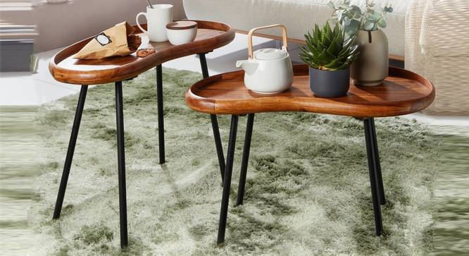 Prince Solid Wood Nested Tables - Set of 2 (Honey Oak And Black Finish) by Urban Ladder - Front View Design 1 - 844578