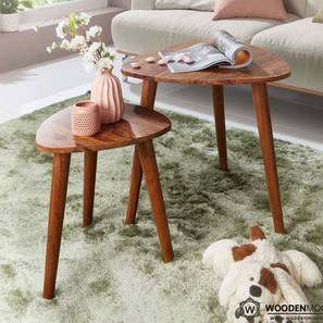 woodenmood Richelo Solid Wood Side Table in Honey Oak Finish-picture-20
