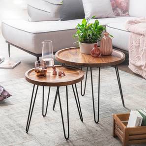 Ash Solid Wood Side Table in Honey Oak And Black Finish-image-37