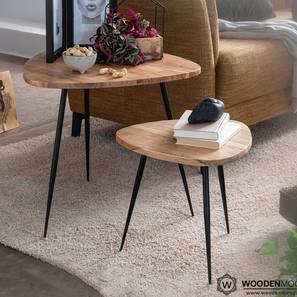 Lexina Solid Wood Side Table in Natural & Black Finish-image-39