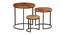 Chelli Solid Wood Nested Tables - Set of 3 (Natural & Metal Finish) by Urban Ladder - Front View Design 1 - 844703
