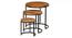 Chelli Solid Wood Nested Tables - Set of 3 (Natural & Metal Finish) by Urban Ladder - Ground View Design 1 - 844716