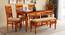 Reeves 6 Seater Dining Set with Bench (Brown, Honey Oak Finish) by Urban Ladder - Front View Design 1 - 844918