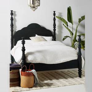 Tiana Solid Wood King Size Non Storage Bed in Light Black Finish-image-28