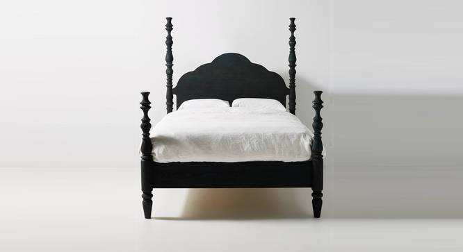 Tiana Solid Wood Non Storage Bed (Queen Bed Size, Light Black Finish) by Urban Ladder - Front View Design 1 - 844931