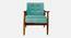 Aurora Arm Chair with Cushion (Sea Green) by Urban Ladder - Design 1 Side View - 845866