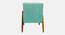 Aurora Arm Chair with Cushion (Sea Green) by Urban Ladder - Rear View Design 1 - 845878