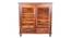 Optima Solidwood Shoe Rack With 2 Drawer In Walnut Color (Lacquered Finish) by Urban Ladder - Design 1 Side View - 845995