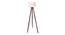 Gordie Solid Wood Floor Lamp (Brown) by Urban Ladder - Front View Design 1 - 846781
