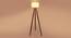 Gordie Solid Wood Floor Lamp (Brown) by Urban Ladder - Design 1 Side View - 846792