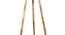 Kaze Solid Wood Floor Lamp (Grey) by Urban Ladder - Design 1 Side View - 846793