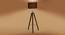 Ventonsia Solid Wood Floor Lamp (Brown) by Urban Ladder - Ground View Design 1 - 846798