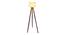 Gordie Solid Wood Floor Lamp (Brown) by Urban Ladder - Ground View Design 1 - 846803
