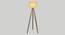 Kaze Solid Wood Floor Lamp (Grey) by Urban Ladder - Ground View Design 1 - 846804