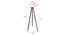 Gordie Solid Wood Floor Lamp (Brown) by Urban Ladder - Ground View Design 1 - 846825