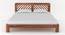 Smith Non Storage Bed in Teak Finish (Teak Finish, Queen Bed Size) by Urban Ladder - - 