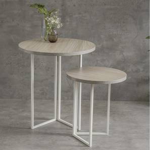 a tiny mistake Engineered Wood Side Table in Matte Finish-picture-25