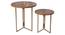 Teak Hues Nested Table (Matte Finish) by Urban Ladder - Ground View Design 1 - 847044