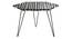 Lakeer Coffee Table (Matte Finish) by Urban Ladder - Ground View Design 1 - 847072