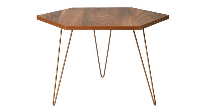 Teak Hues Coffee Table (Matte Finish) by Urban Ladder - Design 1 Side View - 847100