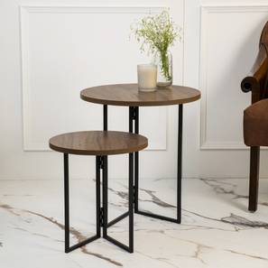 a tiny mistake Engineered Wood Side Table in Matte Finish-picture-28