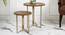 Teak Hues Nested Table (Matte Finish) by Urban Ladder - Front View Design 1 - 847140