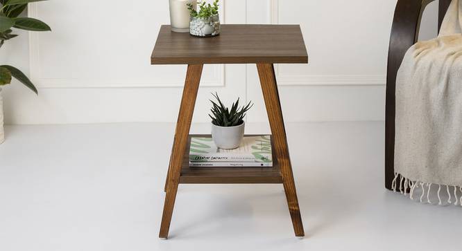 Walnut Hues Side Table (Matte Finish) by Urban Ladder - Front View Design 1 - 847146