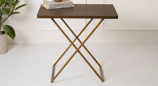 Walnut    Hues Side Table (Matte Finish) by Urban Ladder - Front View Design 1 - 847156