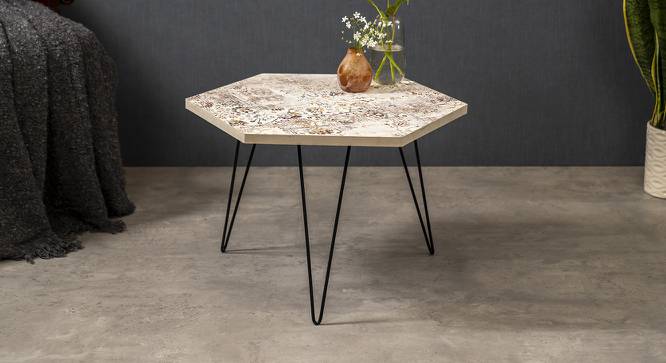 Cosmos Coffee Table (Matte Finish) by Urban Ladder - Front View Design 1 - 847161